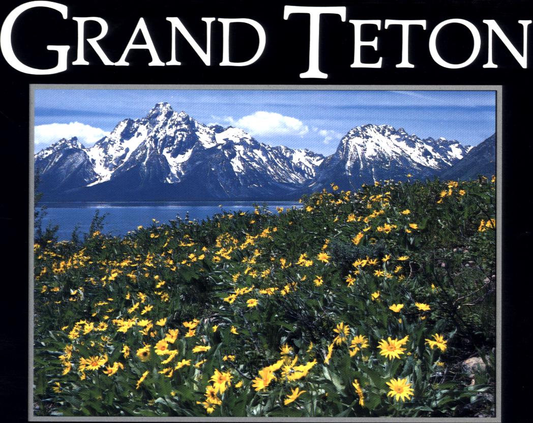 GRAND TETON: a Wish You Were Here postcard book.